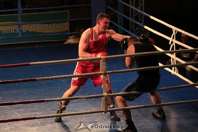 IV Gala Sportów Walki Sparta [30.04.2016] - zdjęcie #12 - eOstroleka.pl