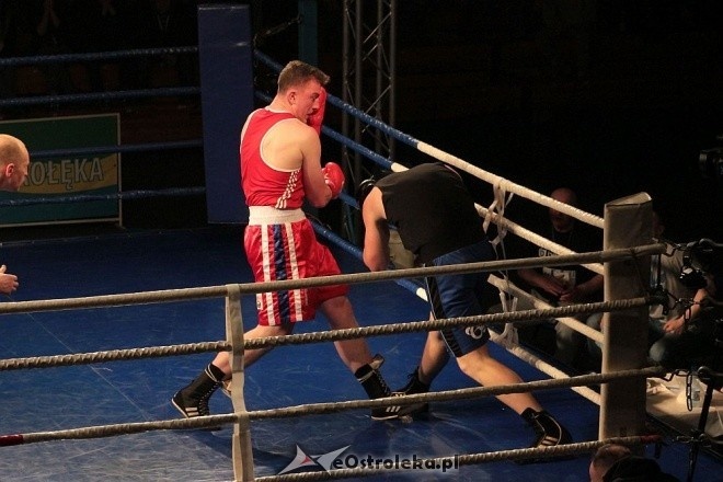 IV Gala Sportów Walki Sparta [30.04.2016] - zdjęcie #1 - eOstroleka.pl