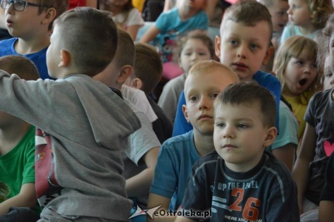 Międzyprzedszkolny przegląd Przedszkolak z Pasją w Ostrołęce [05.05.2016] - zdjęcie #33 - eOstroleka.pl