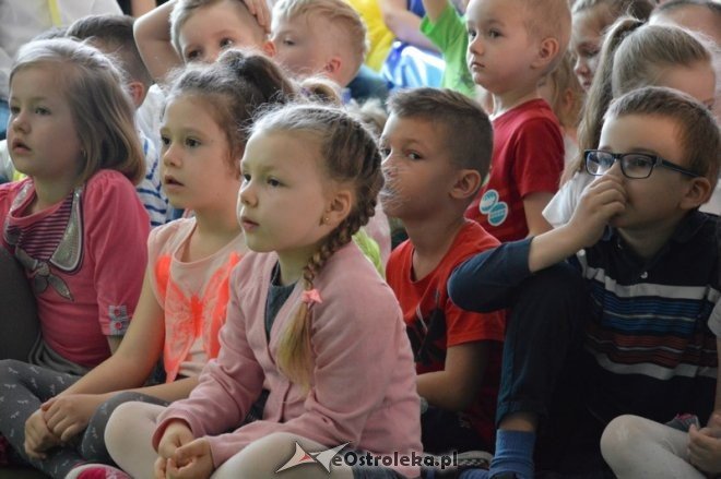 Międzyprzedszkolny przegląd Przedszkolak z Pasją w Ostrołęce [05.05.2016] - zdjęcie #5 - eOstroleka.pl