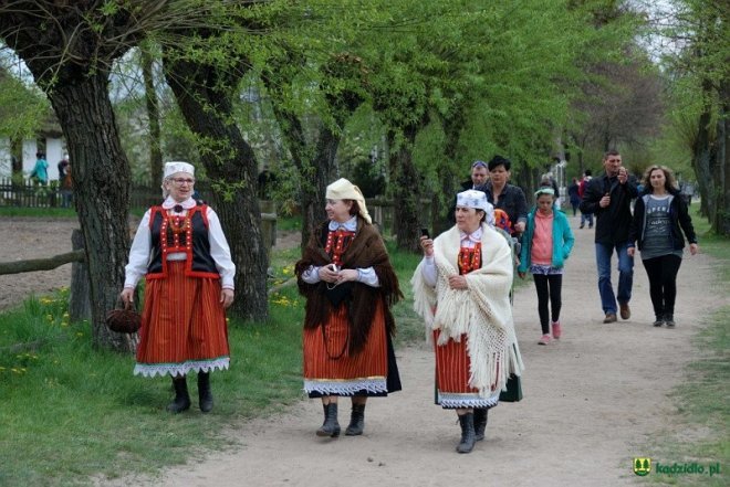 „Gotowanie na polanie” z Kurpianką-Cepelią [10.05.2016] - zdjęcie #5 - eOstroleka.pl