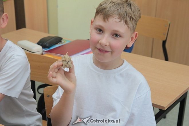 Dni Kultury Kurpiowskiej w SP nr 10 w Ostrołęce [10.05.2016] - zdjęcie #39 - eOstroleka.pl