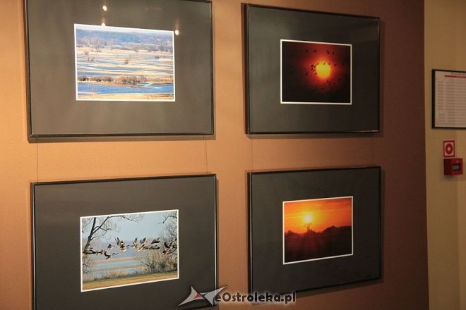 Wernisaż wystawy „Drugi świat Marka” w OCK [13.05.2016] - zdjęcie #11 - eOstroleka.pl