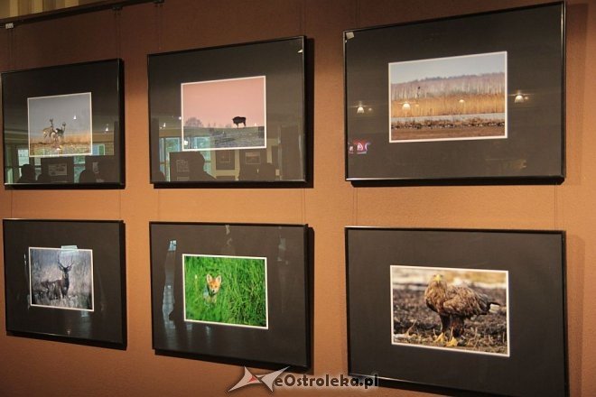 Wernisaż wystawy „Drugi świat Marka” w OCK [13.05.2016] - zdjęcie #9 - eOstroleka.pl