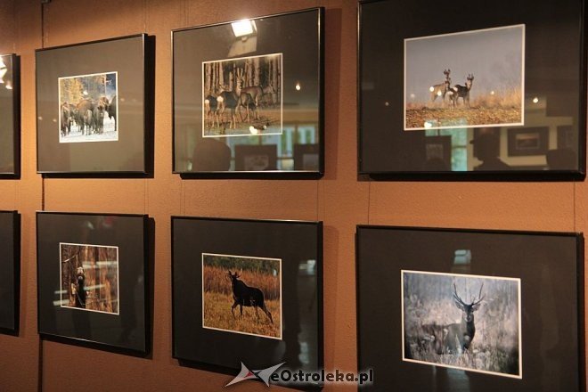 Wernisaż wystawy „Drugi świat Marka” w OCK [13.05.2016] - zdjęcie #8 - eOstroleka.pl