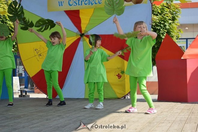 Przedszkolny Festiwal Tańca z „Krainą Misiów” [20.05.2016] - zdjęcie #5 - eOstroleka.pl