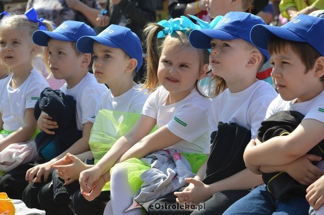 Przedszkolny Festiwal Tańca z „Krainą Misiów” [20.05.2016] - zdjęcie #13 - eOstroleka.pl