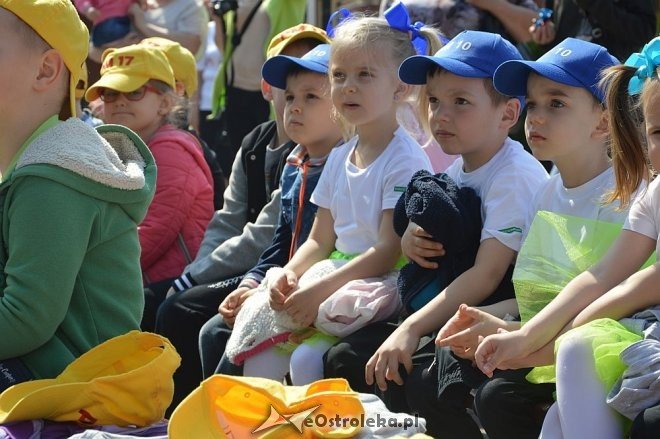 Przedszkolny Festiwal Tańca z „Krainą Misiów” [20.05.2016] - zdjęcie #14 - eOstroleka.pl