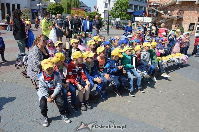 Przedszkolny Festiwal Tańca z „Krainą Misiów” [20.05.2016] - zdjęcie #25 - eOstroleka.pl