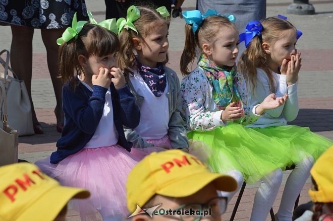 Przedszkolny Festiwal Tańca z „Krainą Misiów” [20.05.2016] - zdjęcie #26 - eOstroleka.pl