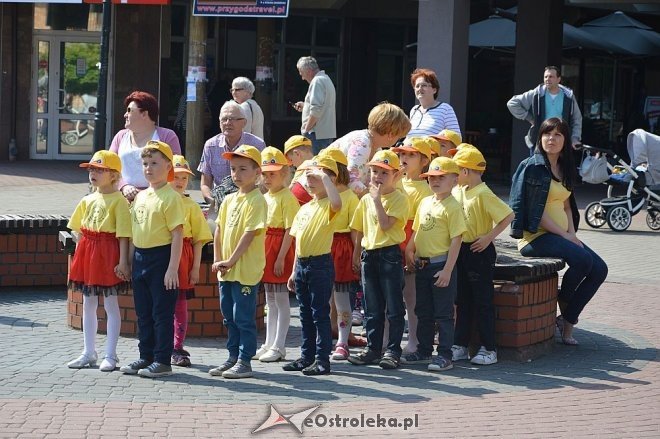 Przedszkolny Festiwal Tańca z „Krainą Misiów” [20.05.2016] - zdjęcie #35 - eOstroleka.pl