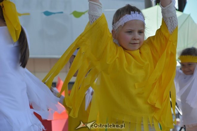 Przedszkolny Festiwal Tańca z „Krainą Misiów” [20.05.2016] - zdjęcie #39 - eOstroleka.pl