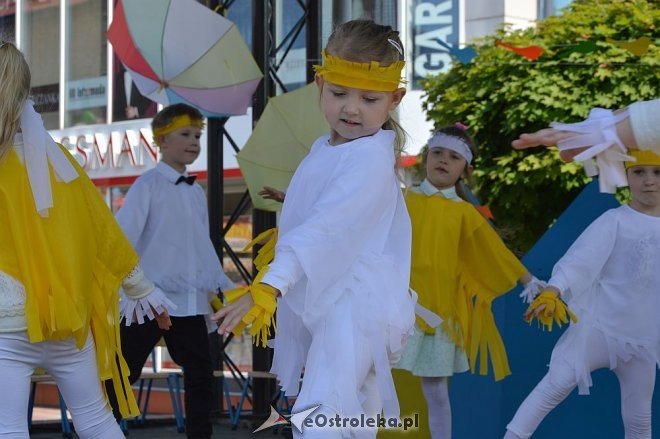 Przedszkolny Festiwal Tańca z „Krainą Misiów” [20.05.2016] - zdjęcie #42 - eOstroleka.pl