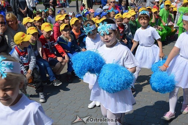 Przedszkolny Festiwal Tańca z „Krainą Misiów” [20.05.2016] - zdjęcie #46 - eOstroleka.pl