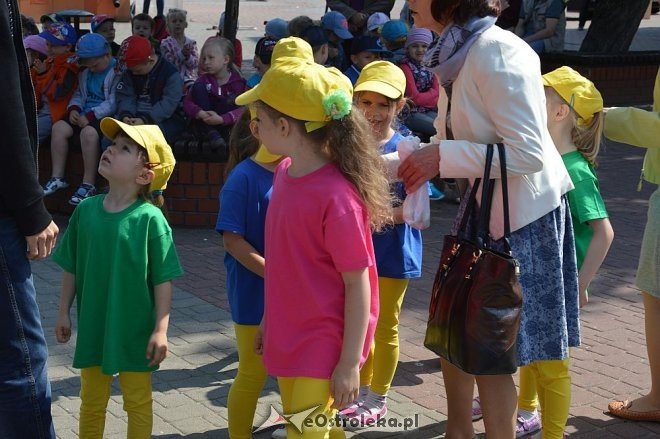 Przedszkolny Festiwal Tańca z „Krainą Misiów” [20.05.2016] - zdjęcie #49 - eOstroleka.pl