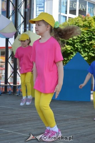 Przedszkolny Festiwal Tańca z „Krainą Misiów” [20.05.2016] - zdjęcie #61 - eOstroleka.pl
