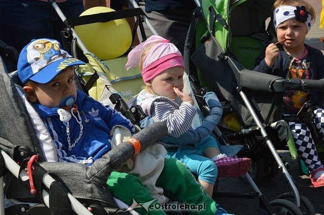 Przedszkolny Festiwal Tańca z „Krainą Misiów” [20.05.2016] - zdjęcie #78 - eOstroleka.pl