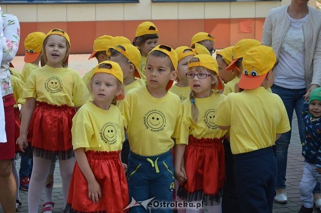 Przedszkolny Festiwal Tańca z „Krainą Misiów” [20.05.2016] - zdjęcie #71 - eOstroleka.pl