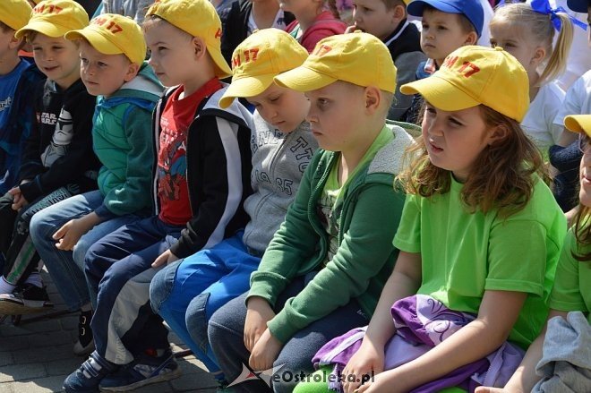 Przedszkolny Festiwal Tańca z „Krainą Misiów” [20.05.2016] - zdjęcie #45 - eOstroleka.pl