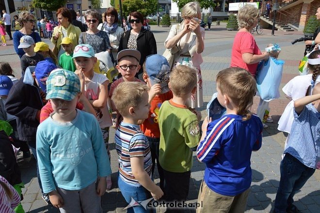 Przedszkolny Festiwal Tańca z „Krainą Misiów” [20.05.2016] - zdjęcie #42 - eOstroleka.pl