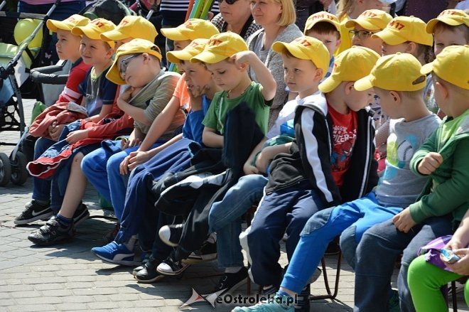Przedszkolny Festiwal Tańca z „Krainą Misiów” [20.05.2016] - zdjęcie #31 - eOstroleka.pl
