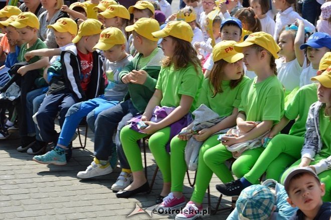 Przedszkolny Festiwal Tańca z „Krainą Misiów” [20.05.2016] - zdjęcie #142 - eOstroleka.pl