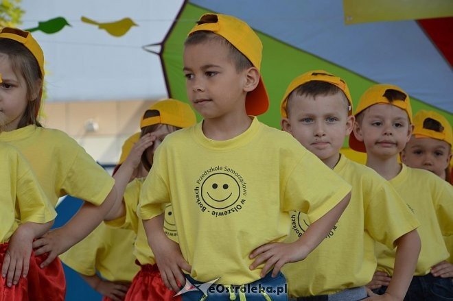 Przedszkolny Festiwal Tańca z „Krainą Misiów” [20.05.2016] - zdjęcie #9 - eOstroleka.pl