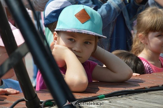 III edycja Festiwalu Piosenki w Języku Angielskim [21.05.2016] - zdjęcie #28 - eOstroleka.pl
