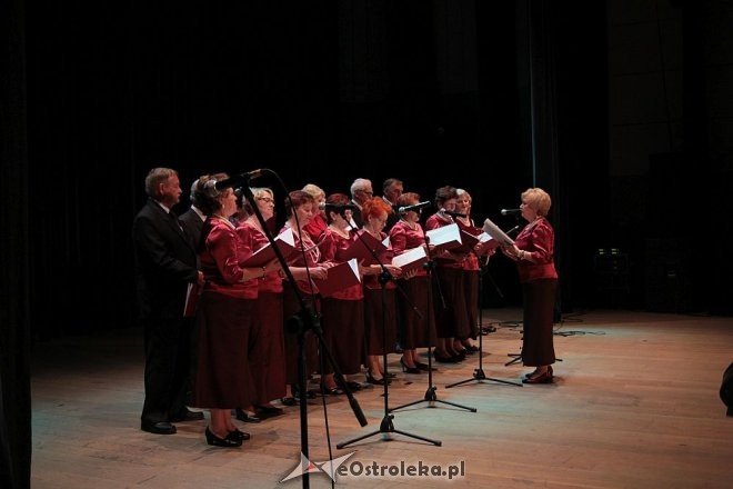 Doroczny przegląd ostrołęckich klubów seniora [21.05.2016] - zdjęcie #18 - eOstroleka.pl