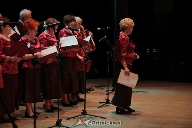 Doroczny przegląd ostrołęckich klubów seniora [21.05.2016] - zdjęcie #17 - eOstroleka.pl