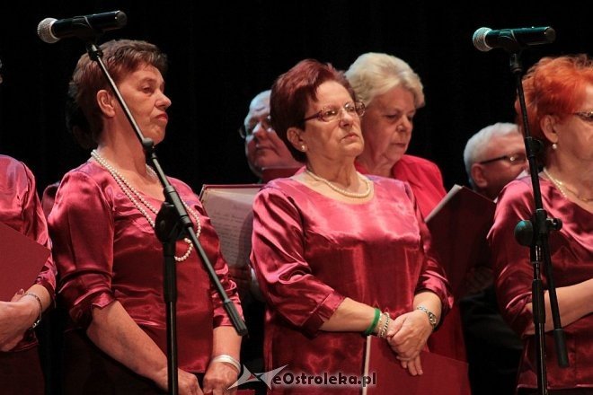 Doroczny przegląd ostrołęckich klubów seniora [21.05.2016] - zdjęcie #6 - eOstroleka.pl