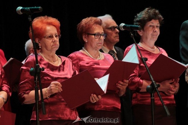 Doroczny przegląd ostrołęckich klubów seniora [21.05.2016] - zdjęcie #5 - eOstroleka.pl
