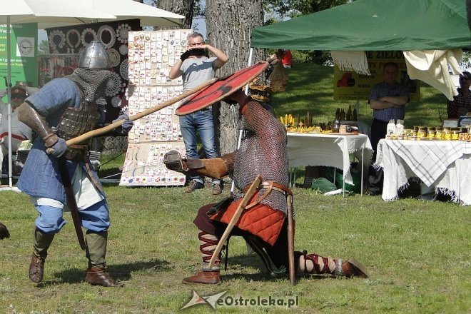 Piknik Średniowieczny w Ostrołęce [22.05.2016] - zdjęcie #23 - eOstroleka.pl