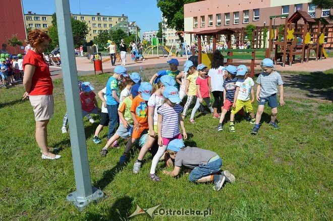 Ostrołęka: Spartakiada w Krainie Misiów [24.05.2016] - zdjęcie #195 - eOstroleka.pl