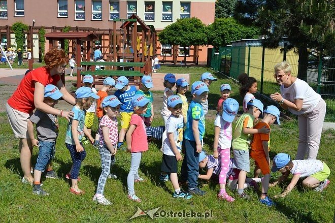 Ostrołęka: Spartakiada w Krainie Misiów [24.05.2016] - zdjęcie #186 - eOstroleka.pl
