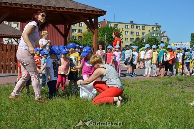Ostrołęka: Spartakiada w Krainie Misiów [24.05.2016] - zdjęcie #166 - eOstroleka.pl