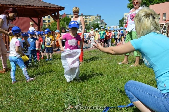 Ostrołęka: Spartakiada w Krainie Misiów [24.05.2016] - zdjęcie #164 - eOstroleka.pl