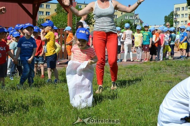 Ostrołęka: Spartakiada w Krainie Misiów [24.05.2016] - zdjęcie #158 - eOstroleka.pl