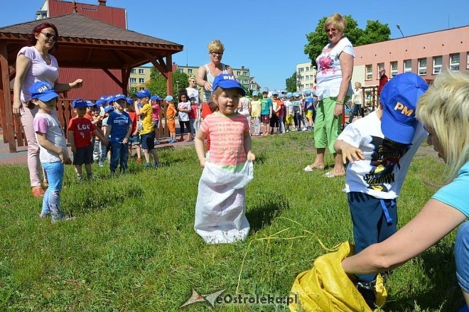 Ostrołęka: Spartakiada w Krainie Misiów [24.05.2016] - zdjęcie #156 - eOstroleka.pl