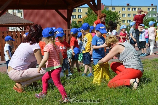Ostrołęka: Spartakiada w Krainie Misiów [24.05.2016] - zdjęcie #154 - eOstroleka.pl