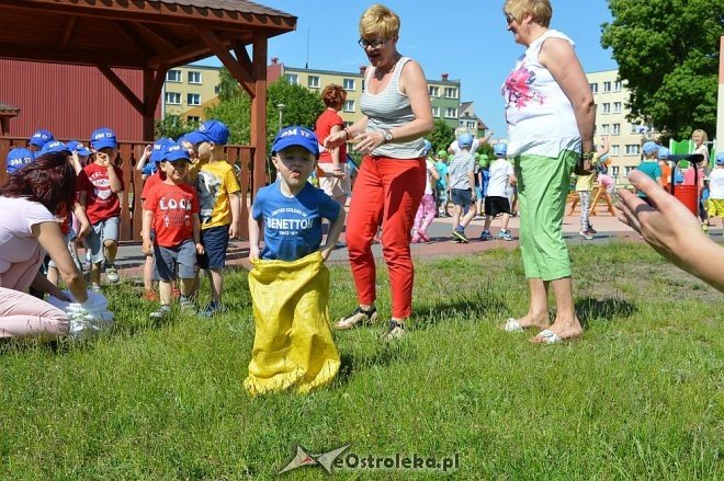 Ostrołęka: Spartakiada w Krainie Misiów [24.05.2016] - zdjęcie #152 - eOstroleka.pl
