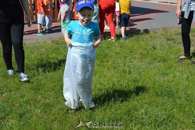 Ostrołęka: Spartakiada w Krainie Misiów [24.05.2016] - zdjęcie #122 - eOstroleka.pl