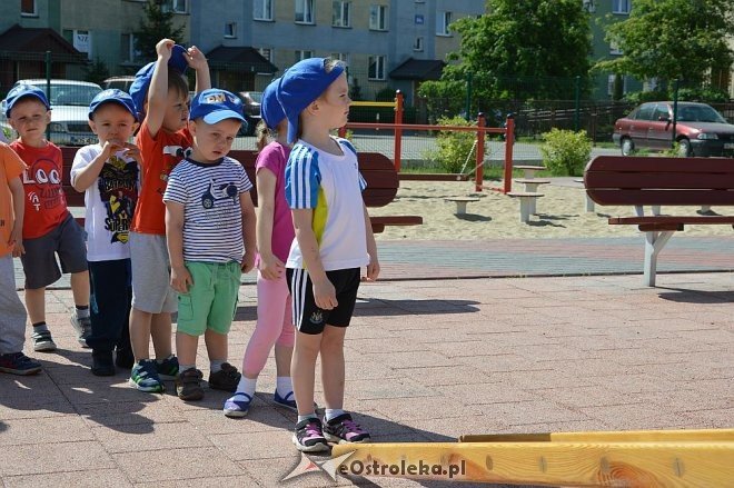 Ostrołęka: Spartakiada w Krainie Misiów [24.05.2016] - zdjęcie #222 - eOstroleka.pl