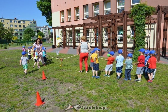 Ostrołęka: Spartakiada w Krainie Misiów [24.05.2016] - zdjęcie #187 - eOstroleka.pl