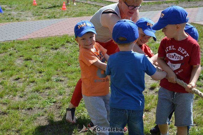 Ostrołęka: Spartakiada w Krainie Misiów [24.05.2016] - zdjęcie #175 - eOstroleka.pl