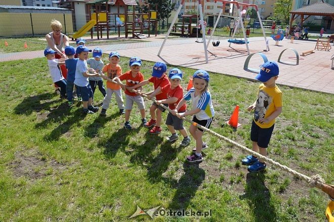 Ostrołęka: Spartakiada w Krainie Misiów [24.05.2016] - zdjęcie #165 - eOstroleka.pl