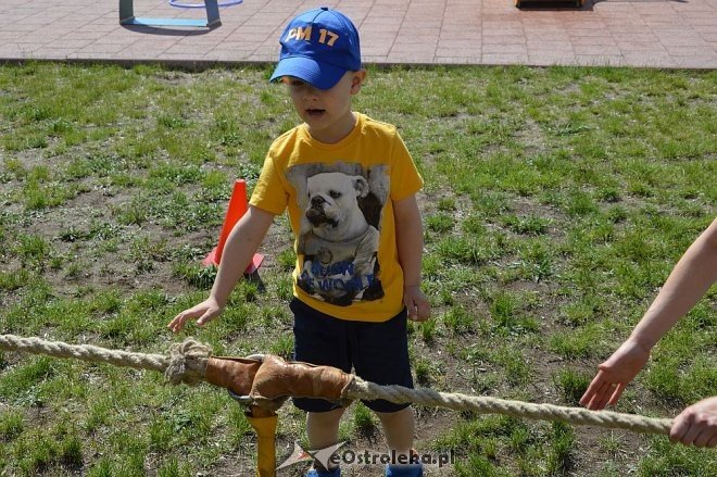 Ostrołęka: Spartakiada w Krainie Misiów [24.05.2016] - zdjęcie #161 - eOstroleka.pl