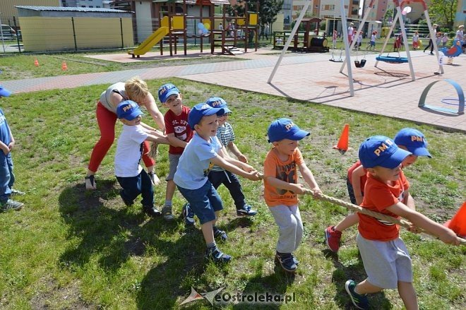 Ostrołęka: Spartakiada w Krainie Misiów [24.05.2016] - zdjęcie #155 - eOstroleka.pl