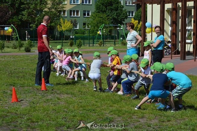 Ostrołęka: Spartakiada w Krainie Misiów [24.05.2016] - zdjęcie #128 - eOstroleka.pl