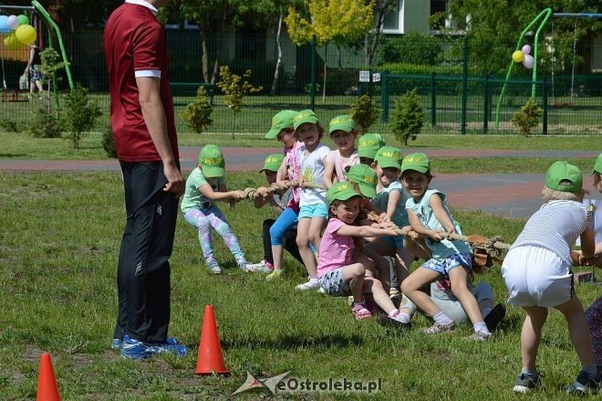 Ostrołęka: Spartakiada w Krainie Misiów [24.05.2016] - zdjęcie #132 - eOstroleka.pl